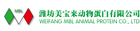 IMG-LOGO